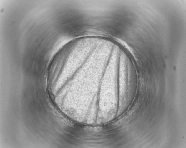 X0000088601415200706221354