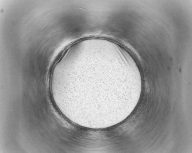 X0000088601416200706221354