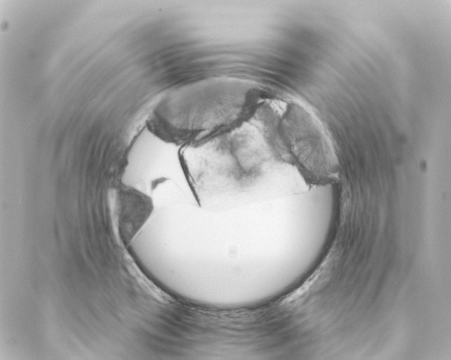 X0000088601417200706221354