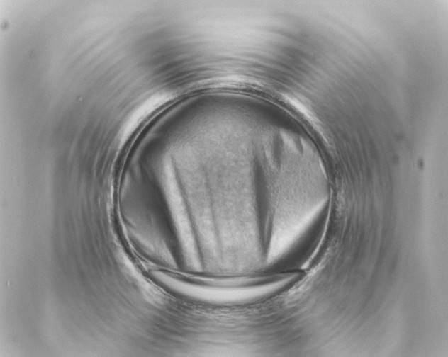 X0000088601418200706221354