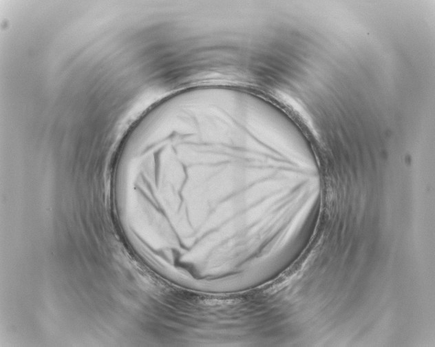 X0000088601419200706221354