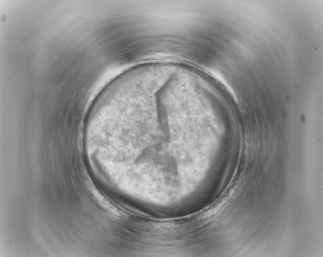 X0000088601421200706221354