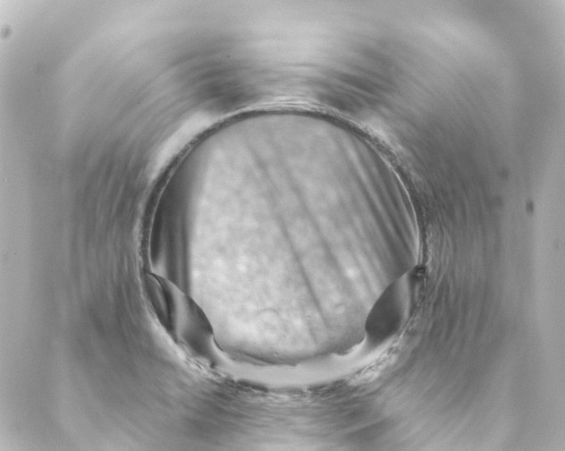 X0000088601422200706221354