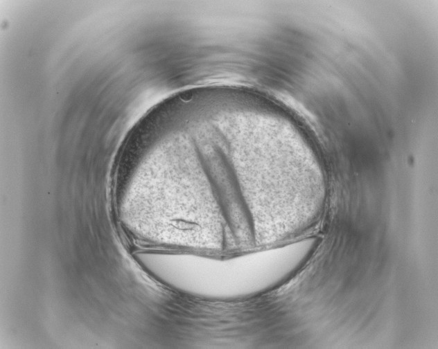 X0000088601423200706221354