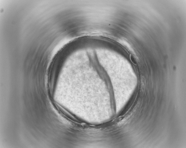 X0000088601424200706221354