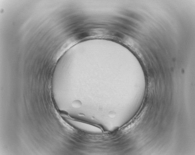 X0000088601425200706221354