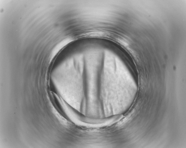 X0000088601426200706221355