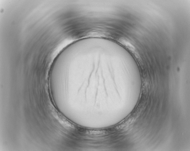 X0000088601427200706221355