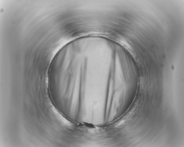 X0000088601428200706221355