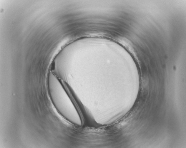 X0000088601429200706221355