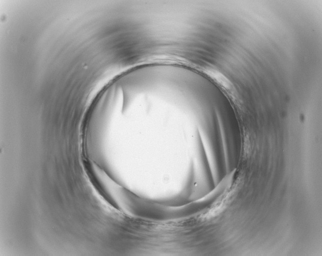 X0000088601430200706221355