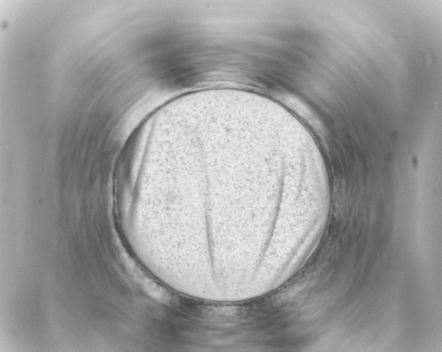 X0000088601431200706221355