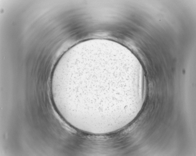 X0000088601432200706221355