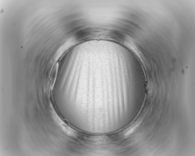 X0000088601434200706221355