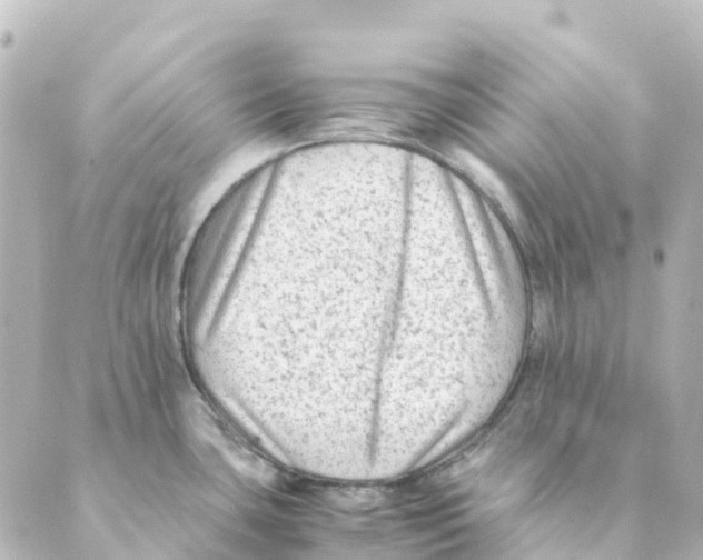 X0000088601435200706221355