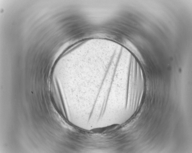 X0000088601436200706221355