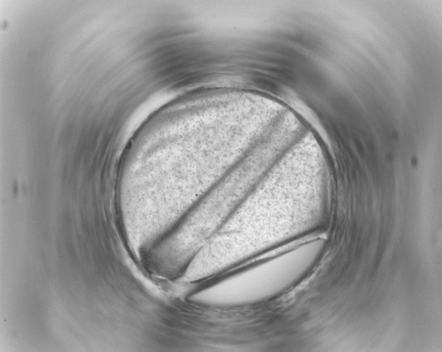 X0000088601437200706221355