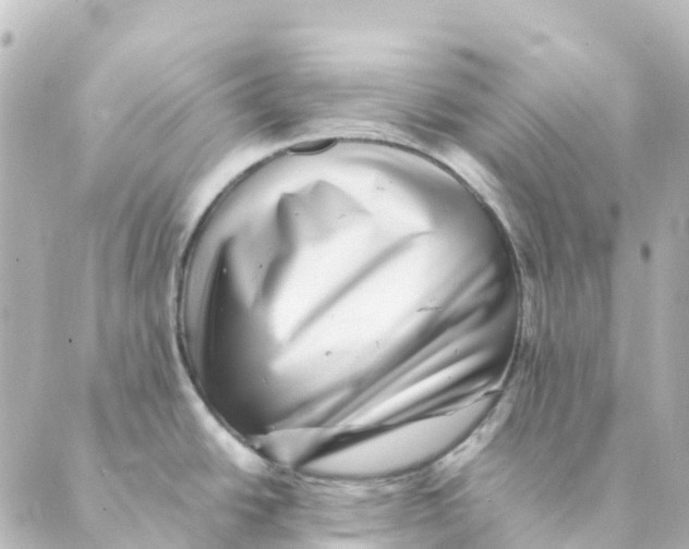 X0000088601438200706221355