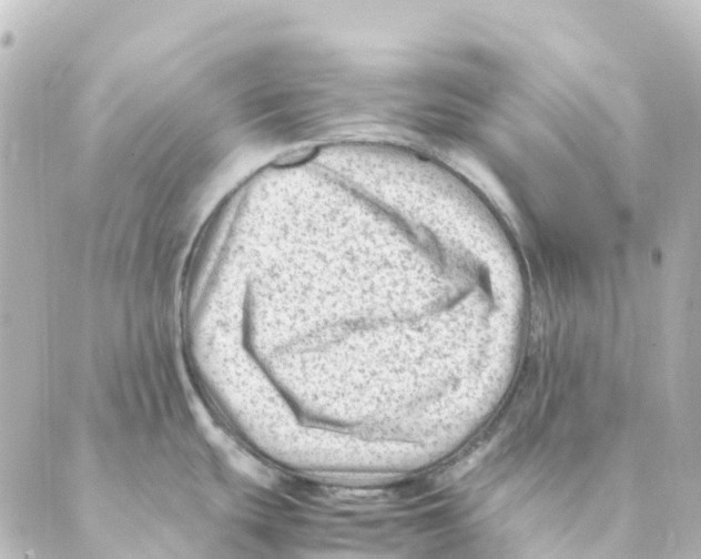 X0000088601439200706221355