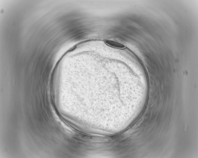 X0000088601440200706221355