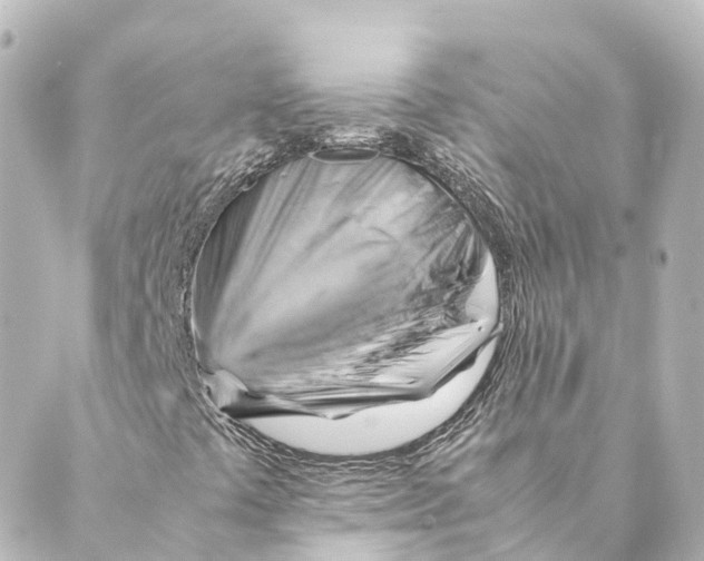 X0000088601441200706221354