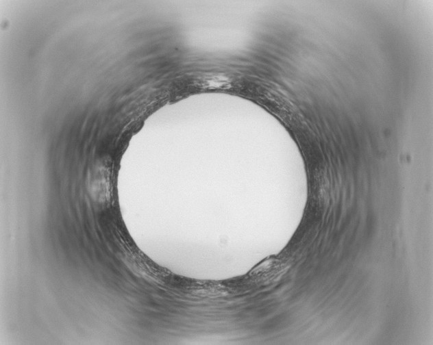 X0000088601442200706221354