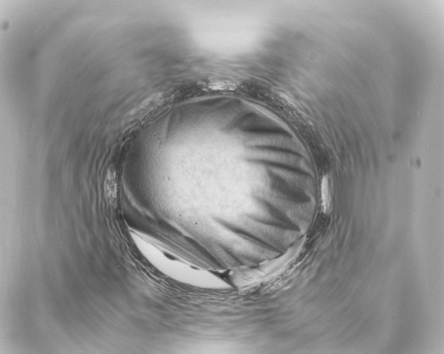 X0000088601443200706221354