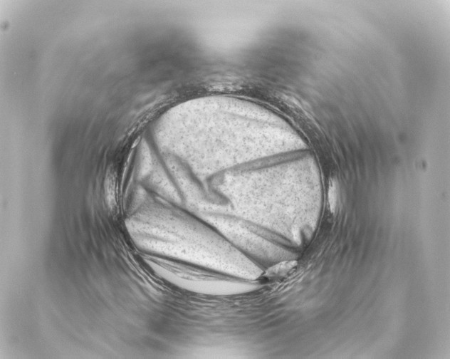 X0000088601444200706221354