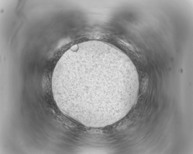 X0000088601446200706221354