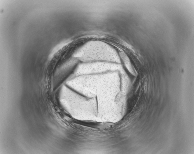 X0000088601448200706221354