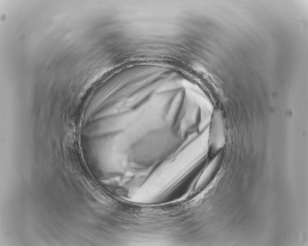 X0000088601449200706221354