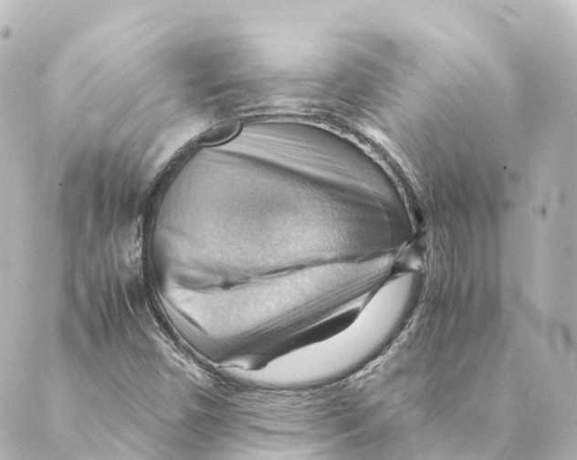 X0000088601450200706221354