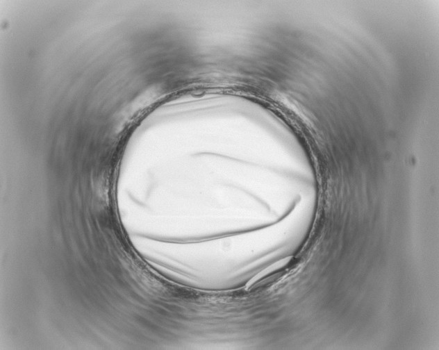 X0000088601451200706221354