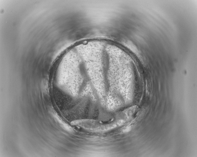 X0000088601452200706221354