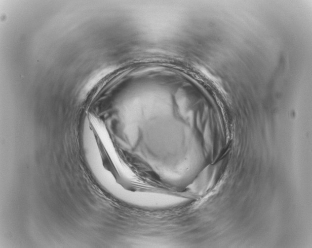 X0000088601453200706221354