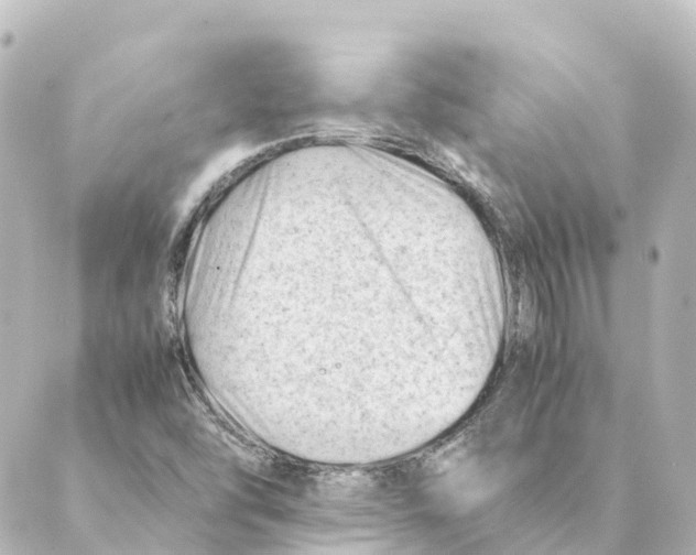 X0000088601454200706221354