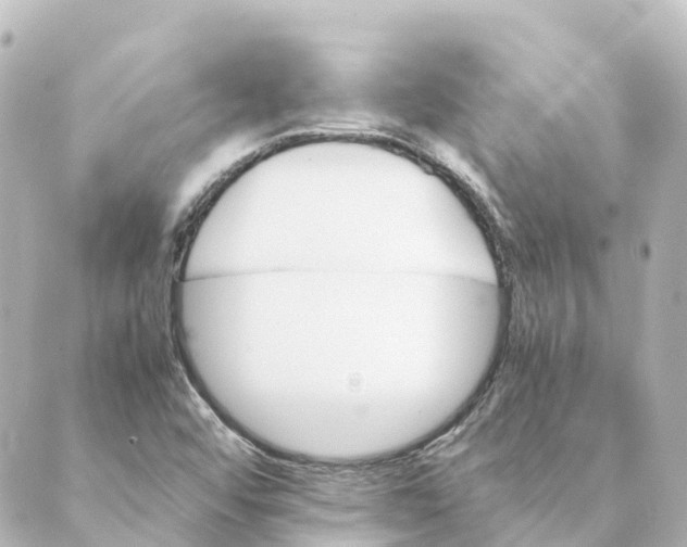 X0000088601456200706221354