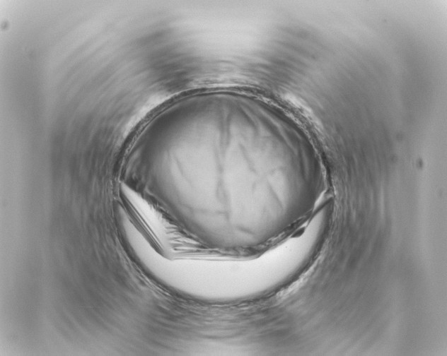 X0000088601457200706221354