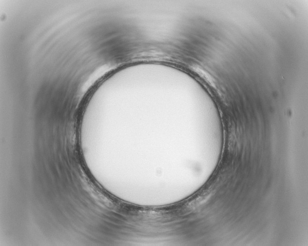 X0000088601458200706221354