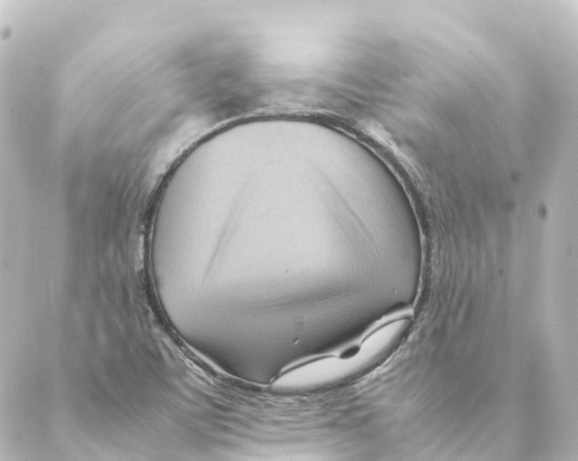 X0000088601459200706221354