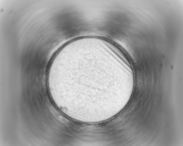 X0000088601460200706221354