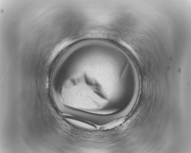 X0000088601461200706221354