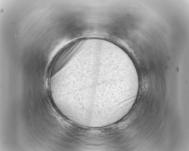 X0000088601462200706221354