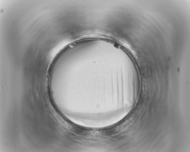 X0000088601463200706221354