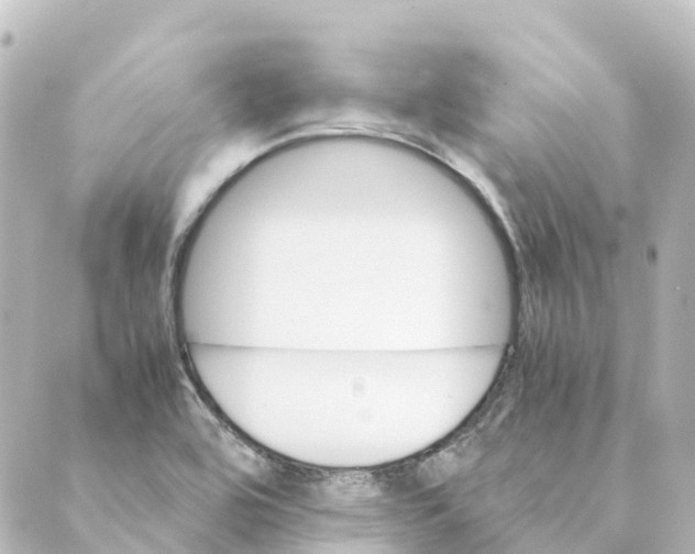 X0000088601464200706221354