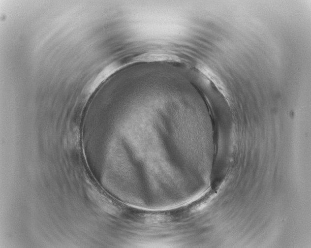 X0000088601465200706221354