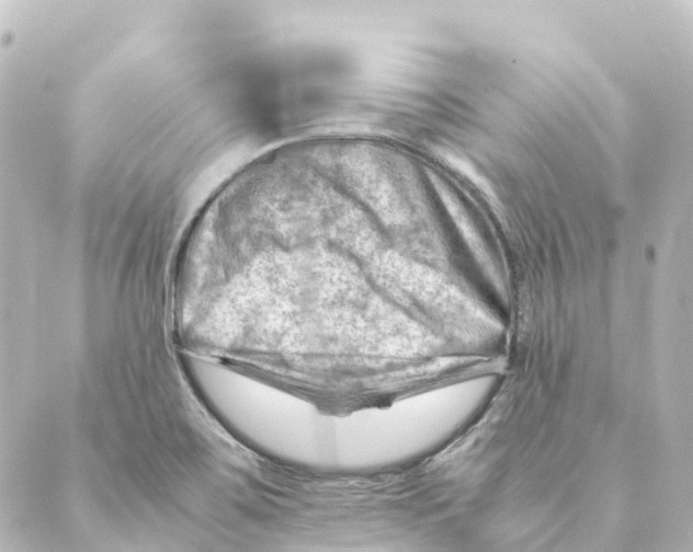 X0000088601467200706221354