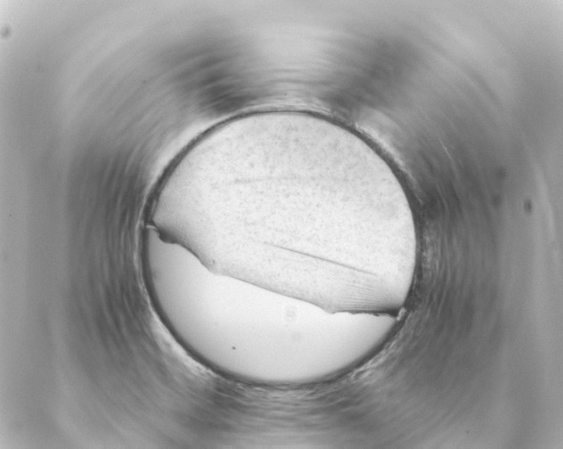 X0000088601468200706221354