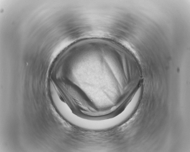 X0000088601469200706221354