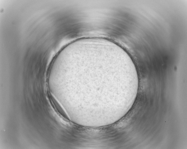 X0000088601470200706221354